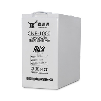 CNF-1000